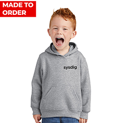 KID'S GREY HOODIE